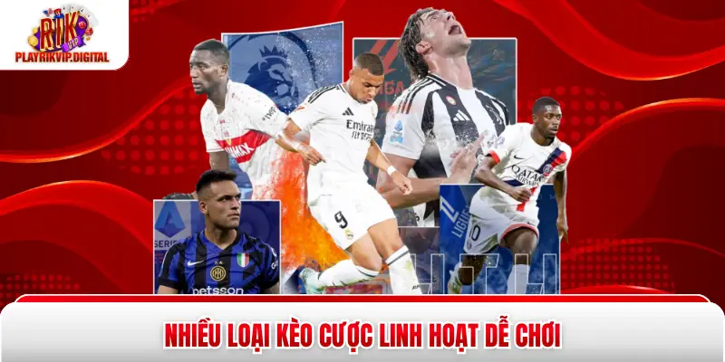 New UG Sports Rikvip - 5 Bộ Môn Đình Đám Mọi Thời Đại Nhiều loại kèo cược linh hoạt dễ chơi